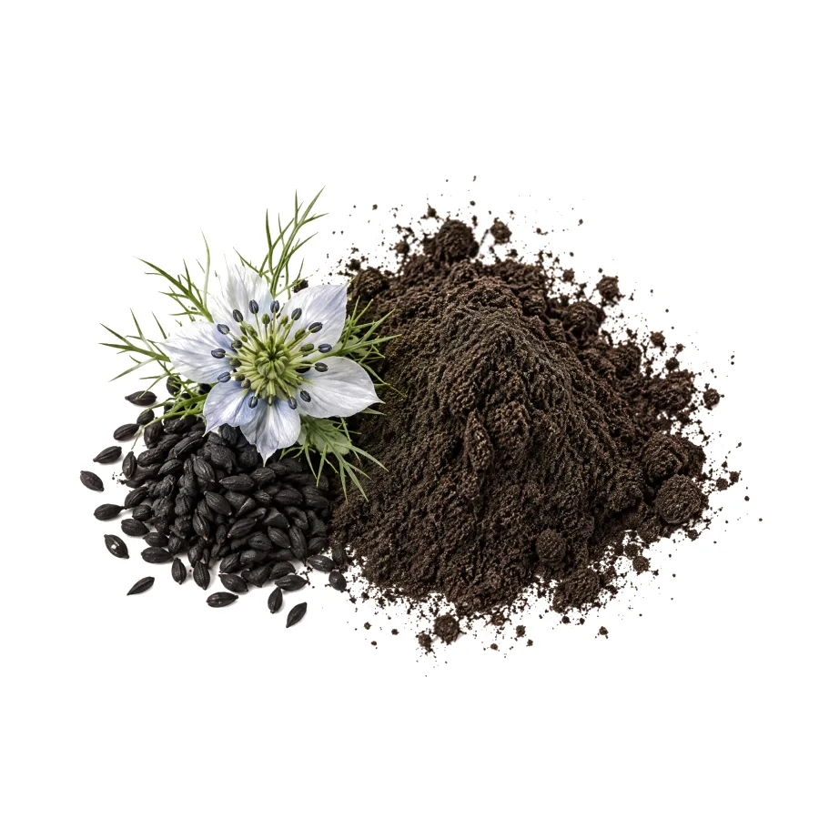 Black cumin seeds (Nigella sativa) with a black cumin flower and ground seed extract powder