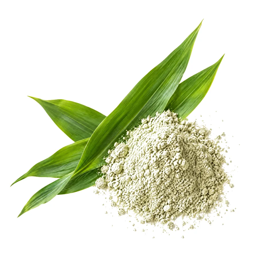 Young green corn leaves (Zea mays) next to corn leaf extract powder